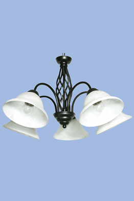 Light image holder